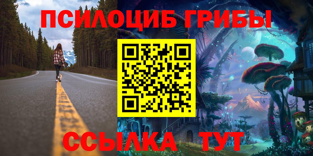 Псилоцибиновые грибы мицелий  Вход с VPN  Осинники 
